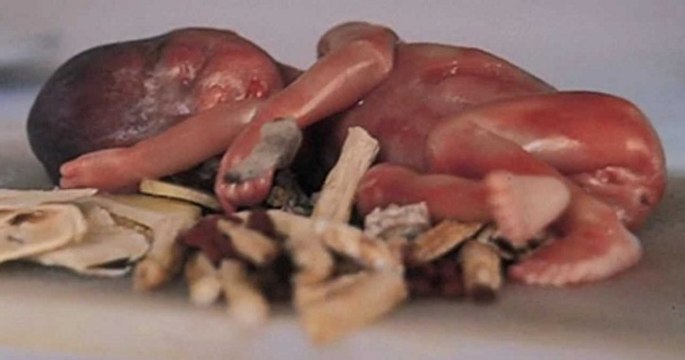 Footage of babies in China | Amazing videos of Babies