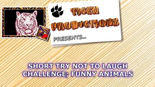 SHORT TRY NOT TO LAUGH CHALLENGE - 10 videos, 10 points - What's your score