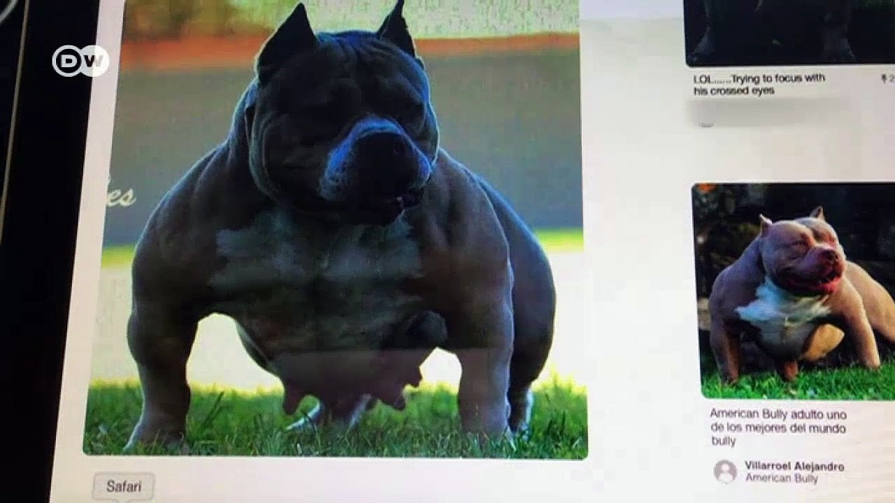 Einsatz gegen Einbrecher | DW Reporter