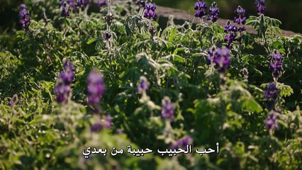 مسلسل حكاية بودروم الحلقة 31 – قسم 2 –