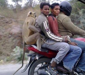 Watching the whole 100 times is still funny