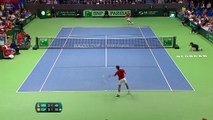 Coupe Davis - Le lob magique de Djokovic contre Ramos Vinolas