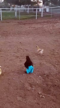 Російських військових серед асадівської армії легко розпізнати по екіпіровці солдата 21-го століття Ратник