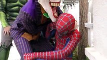 Spiderman Buried Alive Elephant CRASH!!! Superheroes fun Venom Joker Hulk Children Action Movies