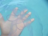 Attraper une méduse géante à main nues !