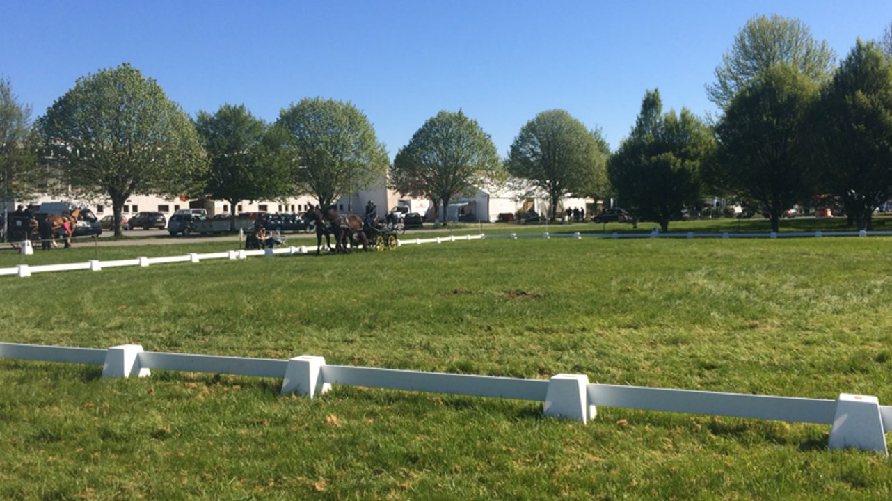Concours national d'attelage