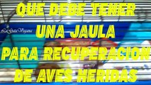 JAULA PARA AVES EN RECUPERACIÓN Y PICHONES / QUE DEBE TENER LA JAULA EN SU INTERIOR