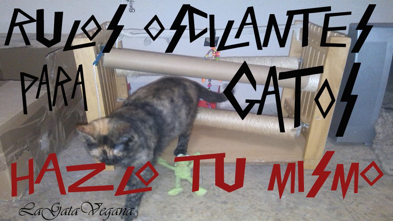 RULOS DESLIZANTES PARA GATOS /  HAZLO TU MISMO / JUGUETE CASERO Y BARATO PARA GATOS