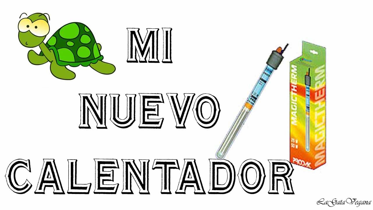 OS ENSEÑO MI CALENTADOR NUEVO PARA EL ESTANQUE DE TORTUGAS