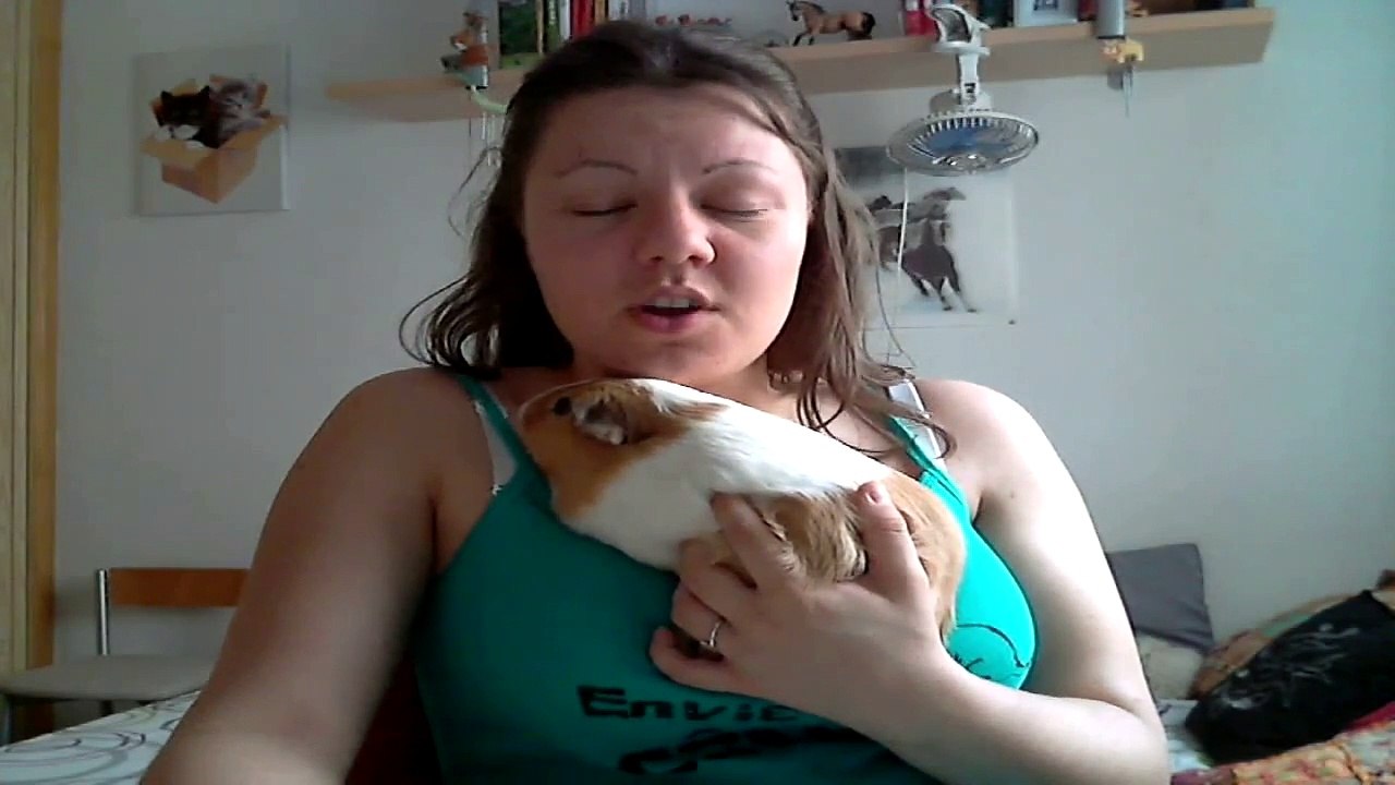 POR QUÉ SER VEGETARIANO / MOTIVOS PARA HACERTE VEGETARIANO