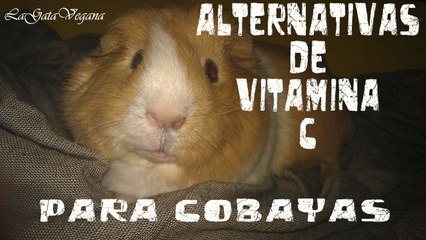 ALTERNATIVAS DE VITAMINA C PARA LAS COBAYAS AL REDOXON GOTAS YA RETIRADO DEL MERCADO