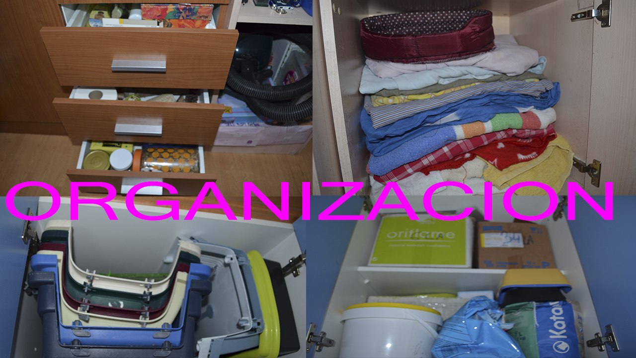 LA ORGANIZACIÓN DE LAS COSAS DE MIS ANIMALES / LAS COSAS GUARDADAS QUE NUNCA VEIS