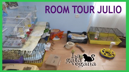 ROOM TOUR JULIO 2015 / LA CASA SE LLENA DE ANIMALES POR VACACIONES