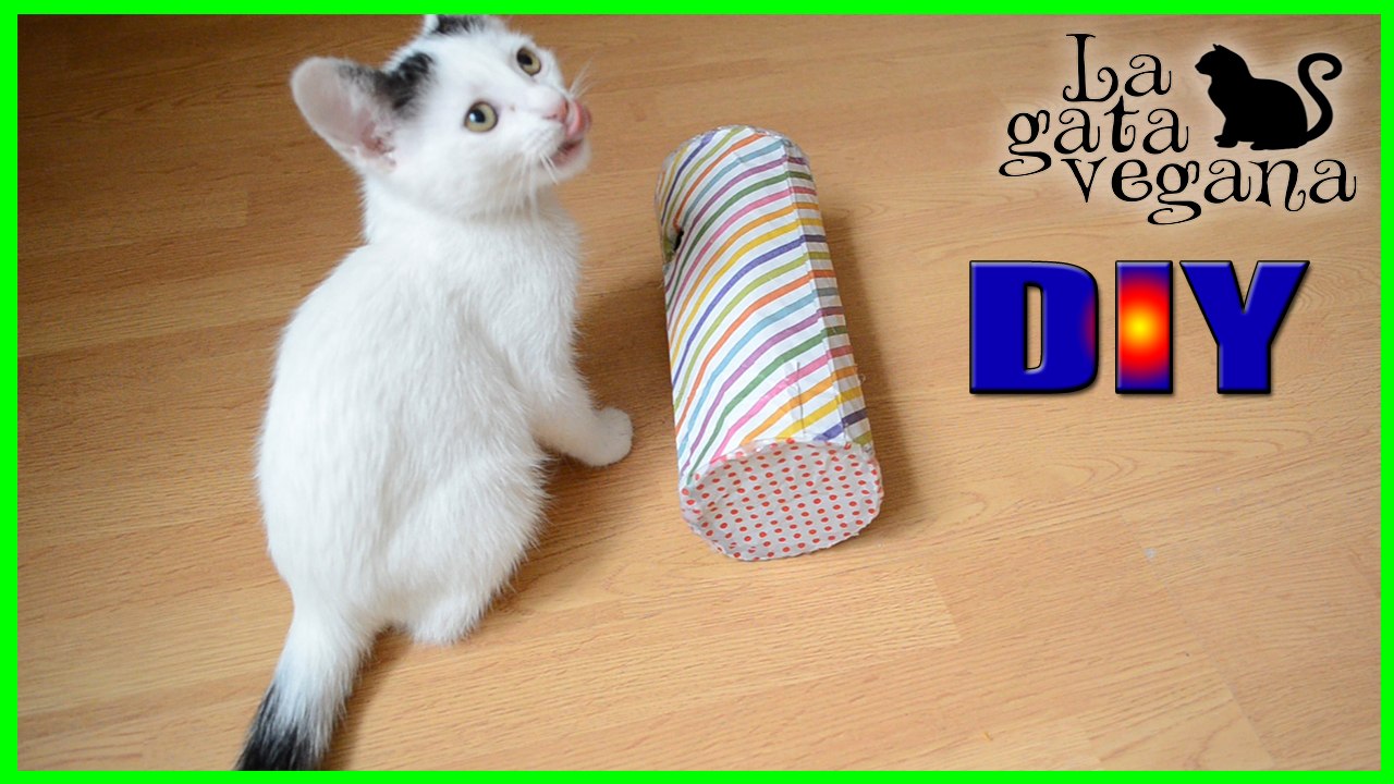 DISPENSADOR DE SNACKS CASERO PARA GATOS Y CONEJOS | HAZLO TÚ MISMO | JUGUETE CASERO ESPECIAL GATOS