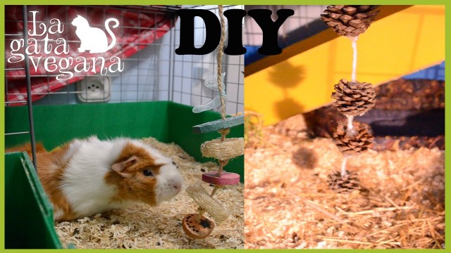 JUGUETES COLGANTES CASEROS PARA COBAYAS , CONEJOS Y CHINCHILLAS | HAZLO TÚ MISMO