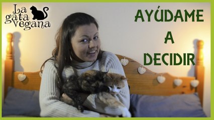ODRI Y VANIA ¿SON ADOPTADOS O DE ACOGIDA? AYÚDAME A DECIDIR EL FUTURO DE ESTOS DOS GATOS