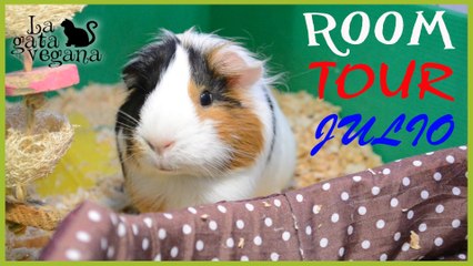 ROOM TOUR CASA DE COBAYAS JULIO 2016 | CAMITAS ABIERTAS PARA EL VERANO Y SAKURA MENOS MIEDOSA