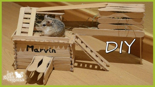 DIY | HÁMSTERS Y JERBOS | CASETA DE MADERA CON PALOS DE POLO | HAZLO TÚ MISMO