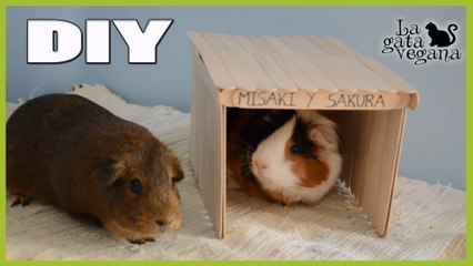 DIY COBAYAS: CASETA FÁCIL DE MADERA CON PALOS CASERA Y BARATA | HAZLO TÚ MISMO | RECICLAJE