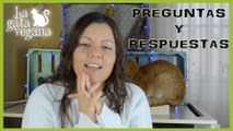 ¿POR QUÉ EMPECÉ EN YOUTUBE? | ESPECIAL 50000 SUSCRIPTORES | PREGUNTAS Y RESPUESTAS