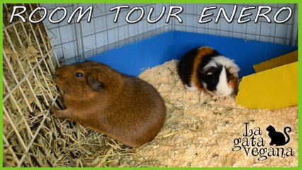 ROOM TOUR JAULA COBAYAS ENERO 2017 | UNA HENERA REINVENTADA EN UNA DECORACIÓN SENCILLA POSTNAVIDEÑA