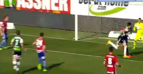 Ried-t1-0-tRapid Vienna 08.04.2017