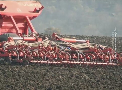 U borskoj opštini setva počinje za nekoliko dana, 8. april 2017 (RTV Bor)