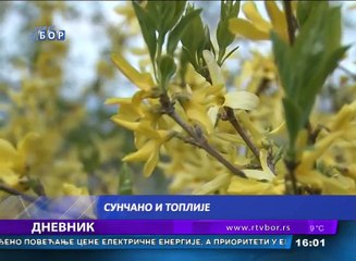 Dnevnik, 08. april 2017. (RTV Bor)