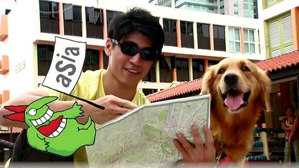 Guide Dog Leads the Way - Funny Videos 2017 Viral Pranks