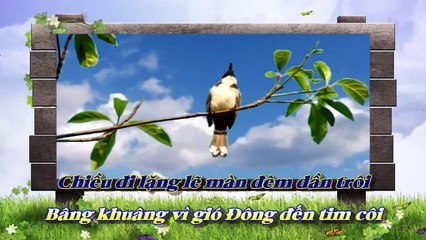 [Karaoke] KIẾP THA HƯƠNG - Lam Phương