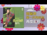 邓丽君 Teresa Teng - 再度蜜月 Zai Du Mi Yue (Original Music Audio)