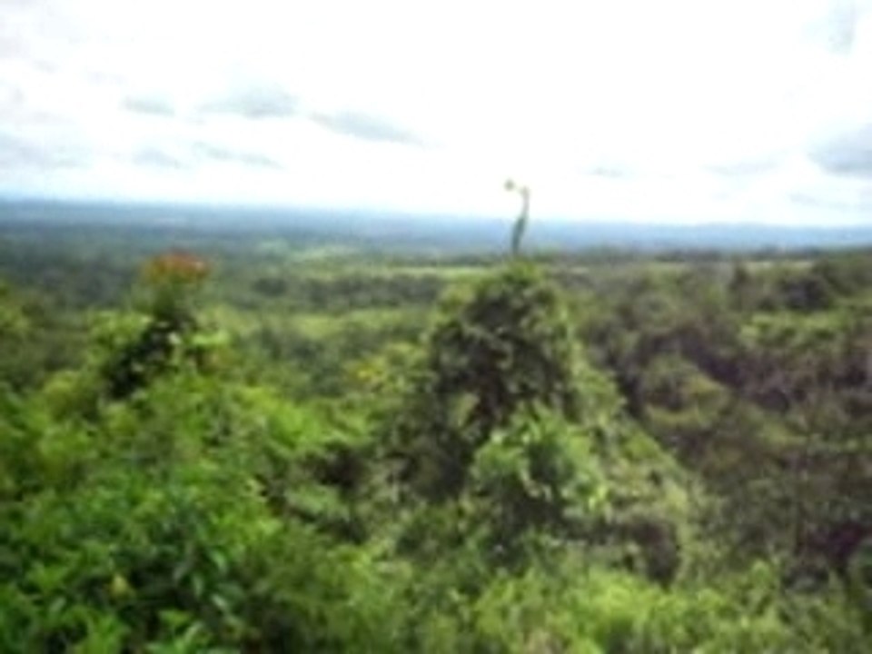 etudier au panama 2