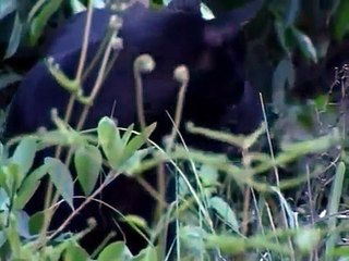 Psycho Killer - 雨夜天魔 (1993) part 1/2