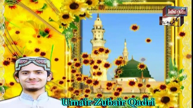 JO V MANGA MENU SARKAR ATA KARDEY NE BY UMAIR ZUBAIR QADRI NEW NAAT|naat, naats|naat 2017|new naat 2017| new naats 2017|naat sharif|naarif 2017|new naat sharif 2017|aat videos| best nat| best naat|new naat| new naats| naat sharif urdu| naat sharif 2017