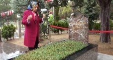 Meral Akşener, Tek Başına Türkeş'in Kabrini Ziyaret Etti