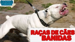 5 RAÇAS DE CÃES QUE FORAM BANIDAS