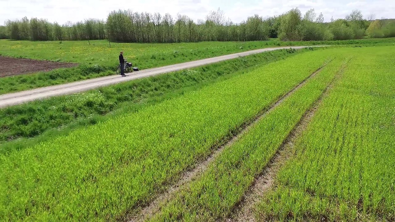Acker Äcktschn  /  action over the fields