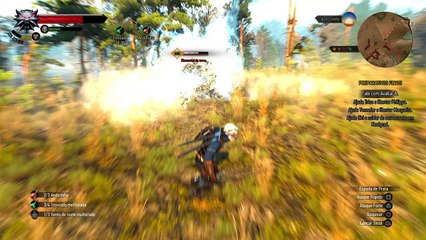 The Witcher 3 - Elemental da Terra 2