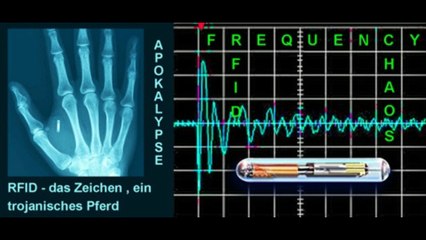 Apocalypse de Jean chapitre 14