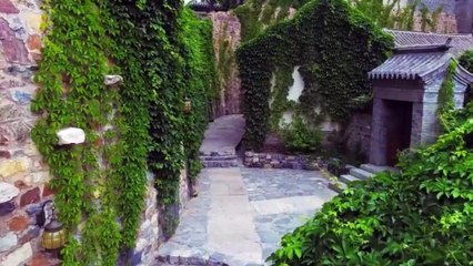 Tangerine Dream - The Great Wall of China