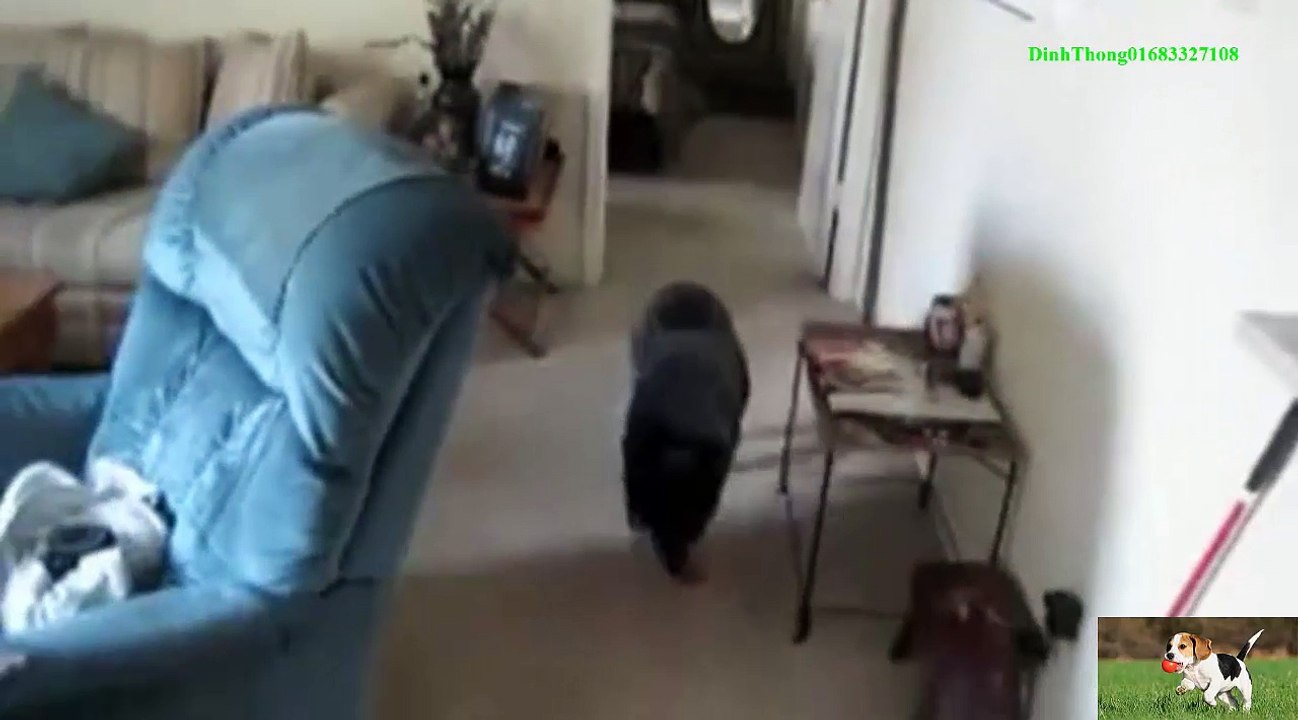 Dog Prays Before Breakfast/Chien prie avant le petit déjeuner