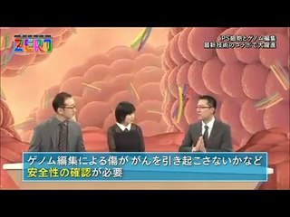 〔サイエンスZERO〕iPS細胞10年 夢の医療はここまで来た〔Science Zero〕