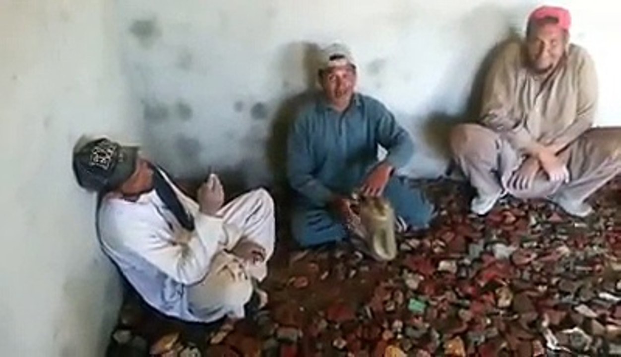 hazary K Mistri