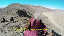 GoPro- Hunting a Fox From an Eagle's POV