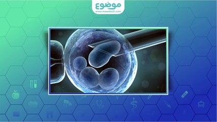 #موضوع: كيف تتم عملية أطفال الأنابيب