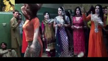 Private dance party Dance by Pakistani Actresses