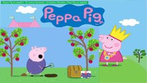 Peppa Pig en español - En busca del tesoro | Animados Infantiles | Pepa Pig en español