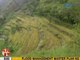 UB: Panibagong rice terraces, nadiskubre sa San Remigio, Antique