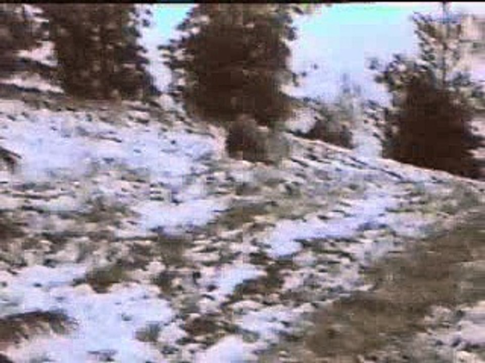التذحلق على الجليد