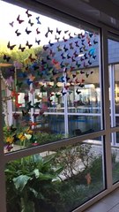 VID-20170409-WA0000 (1)